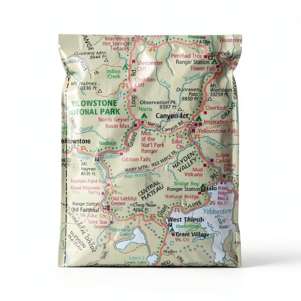 Rand McNally Easy to Fold Montana Wyoming Laminated Map 18x17-4